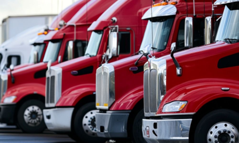 Cómo Empezar tu Propio Negocio de Transporte desde Cero