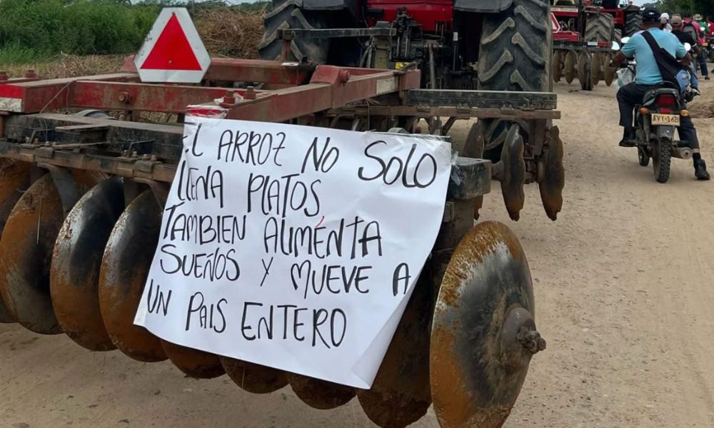 Paro Nacional Arrocero: Bloqueos y afectaciones en las vías del Tolima