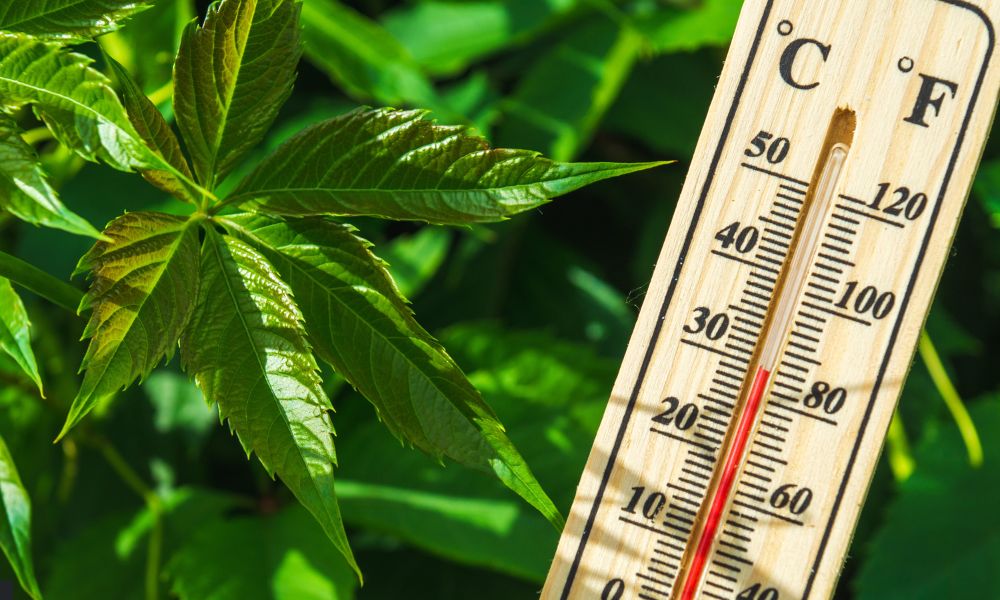 Los mejores trucos para mantener una temperatura agradable en la cabina