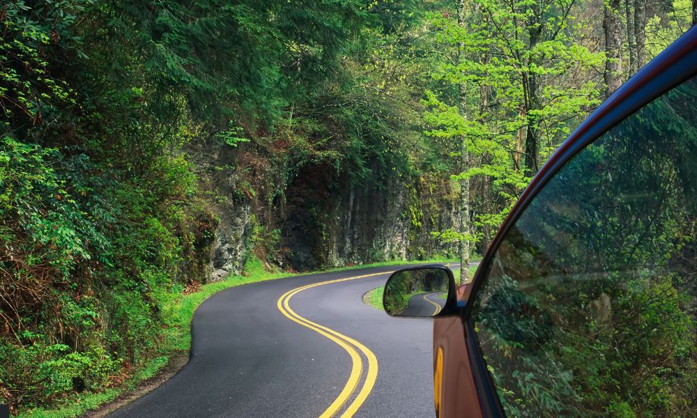manejar en caminos con curvas