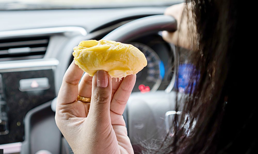 Cómo mantener la cabina con un buen olor sin usar químicos fuertes