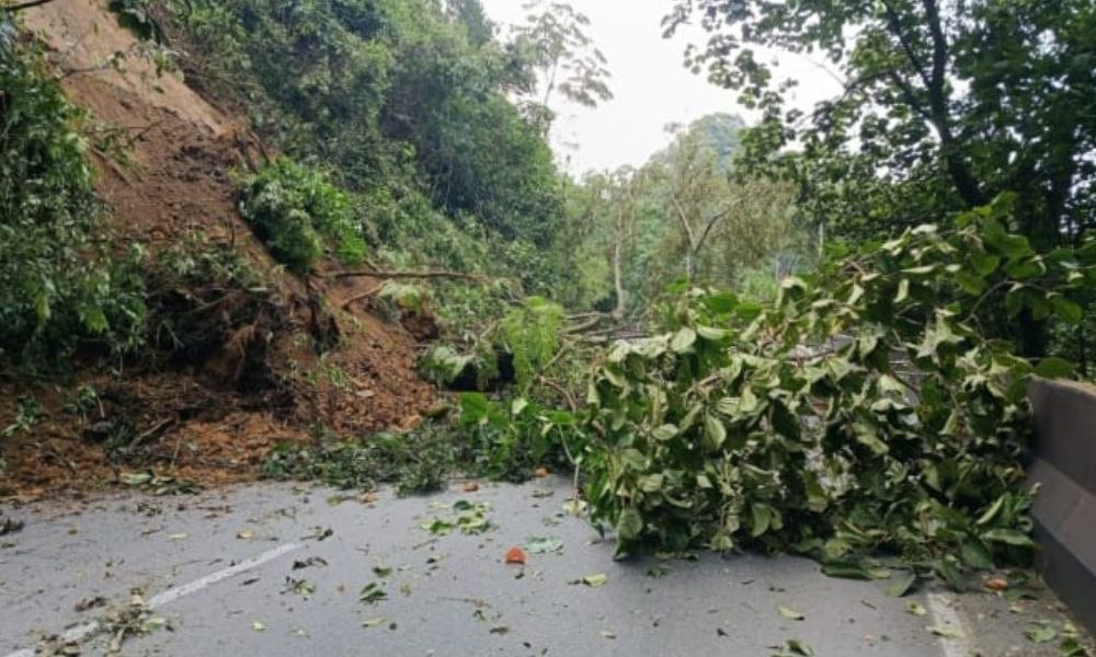 MOVILIDAD QUINDÍO A esta hora se encuentra detenida la movilidad sentido Calarcá - Cajamarca, en el kilómetro PR8, curva Salado. La hora de apertura es incierta por derrumbe